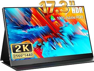 2K FHD 17,3 Zoll Tragbarer Monitor von AUSNUTZEN: Detaillierte Produktbeschreibung