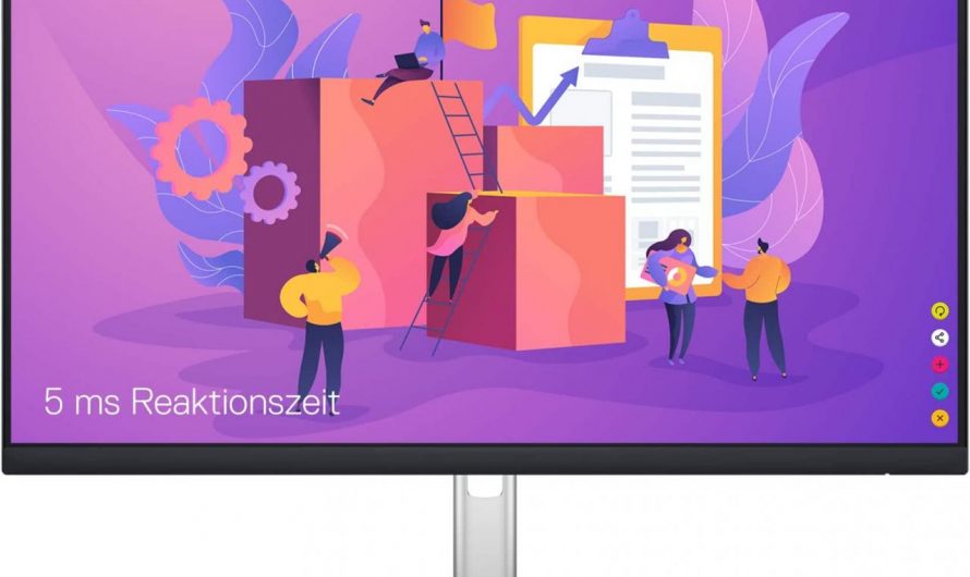 Effizienz und Farbpräzision für den Arbeitsplatz: Dell P2422H Monitor