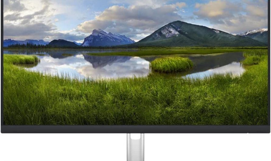 Vorteile des Dell P2423D 24-Zoll QHD-Monitors für anspruchsvolle Nutzer