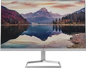 HP M22f Monitor: Eine detaillierte Bewertung